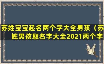 苏姓宝宝起名两个字大全男孩（苏姓男孩取名字大全2021两个字）