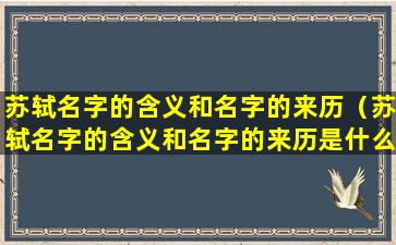 苏轼名字的含义和名字的来历（苏轼名字的含义和名字的来历是什么）