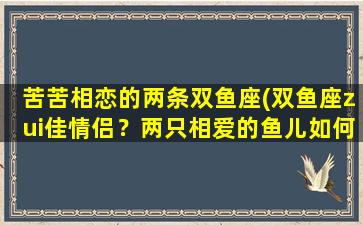 苦苦相恋的两条双鱼座(双鱼座zui佳情侣？两只相爱的鱼儿如何走过人生岁月)