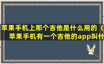 苹果手机上那个吉他是什么用的（苹果手机有一个吉他的app叫什么）