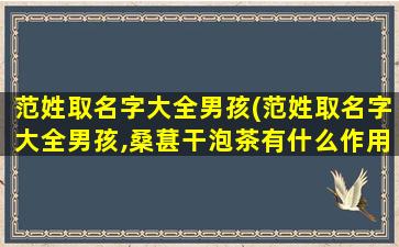 范姓取名字大全男孩(范姓取名字大全男孩,桑葚干泡茶有什么作用)