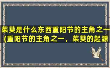 茱萸是什么东西重阳节的主角之一(重阳节的主角之一，茱萸的起源、传说与食用方式解析)