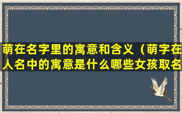 萌在名字里的寓意和含义（萌字在人名中的寓意是什么哪些女孩取名很好听）