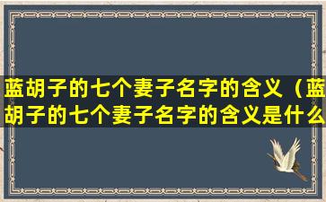 蓝胡子的七个妻子名字的含义（蓝胡子的七个妻子名字的含义是什么）