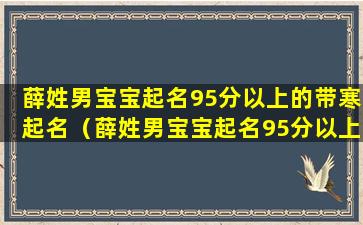 薛姓男宝宝起名95分以上的带寒起名（薛姓男宝宝起名95分以上的有）