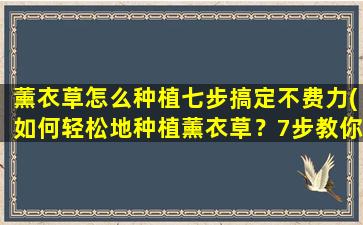 薰衣草怎么种植七步搞定不费力(如何轻松地种植薰衣草？7步教你快速掌握！)