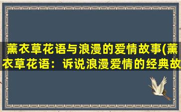 薰衣草花语与浪漫的爱情故事(薰衣草花语：诉说浪漫爱情的经典故事)