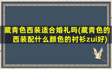 藏青色西装适合婚礼吗(藏青色的西装配什么颜色的衬衫zui好)