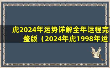 虎2024年运势详解全年运程完整版（2024年虎1998年运势及运程）