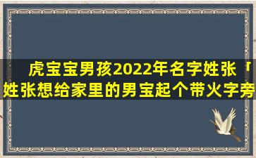 虎宝宝男孩2022年名字姓张「姓张想给家里的男宝起个带火字旁的名字请问有什么好提议呢」