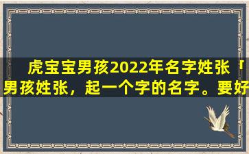 虎宝宝男孩2022年名字姓张「男孩姓张，起一个字的名字。要好听的」