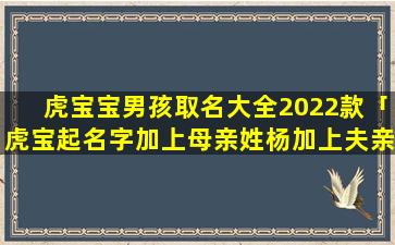 虎宝宝男孩取名大全2022款「虎宝起名字加上母亲姓杨加上夫亲姓薛他叫什么」