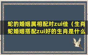 蛇的婚姻属相配对zui佳（生肖蛇婚姻搭配zui好的生肖是什么）