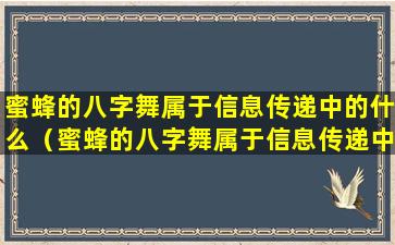 蜜蜂的八字舞属于信息传递中的什么（蜜蜂的八字舞属于信息传递中的什么信息）