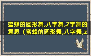 蜜蜂的圆形舞,八字舞,Z字舞的意思（蜜蜂的圆形舞,八字舞,z字舞的意思是什么）