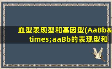 血型表现型和基因型(AaBb×aaBb的表现型和基因型)