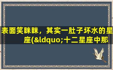 表面笑眯眯，其实一肚子坏水的星座(“十二星座中那些表面笑眯眯，却一肚子坏水的人”)