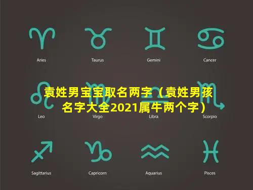 袁姓男宝宝取名两字（袁姓男孩名字大全2021属牛两个字）