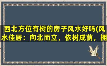 西北方位有树的房子风水好吗(风水佳居：向北而立，依树成荫，拥抱自然)