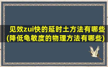 见效zui快的延时土方法有哪些(降低龟敏度的物理方法有哪些)