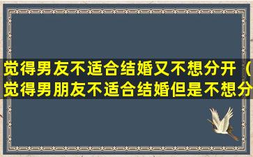 觉得男友不适合结婚又不想分开（觉得男朋友不适合结婚但是不想分手）