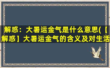 解惑：大暑运金气是什么意思(【解惑】大暑运金气的含义及对生活的影响)