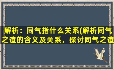 解析：同气指什么关系(解析同气之谊的含义及关系，探讨同气之谊的作用)