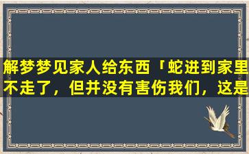 解梦梦见家人给东西「蛇进到家里不走了，但并没有害伤我们，这是怎么回事」