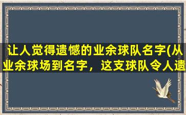 让人觉得遗憾的业余球队名字(从业余球场到名字，这支球队令人遗憾)