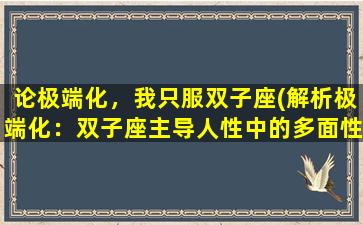 论极端化，我只服双子座(解析极端化：双子座主导人性中的多面性和矛盾)