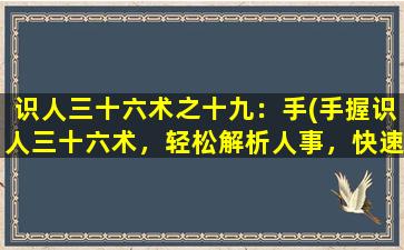 识人三十六术之十九：手(手握识人三十六术，轻松解析人事，快速提升职场魅力！)