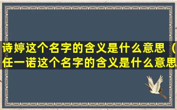 诗婷这个名字的含义是什么意思（任一诺这个名字的含义是什么意思啊）