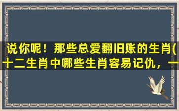 说你呢！那些总爱翻旧账的生肖(十二生肖中哪些生肖容易记仇，一起来了解一下！)