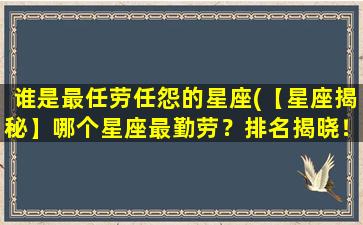 谁是最任劳任怨的星座(【星座揭秘】哪个星座最勤劳？排名揭晓！)