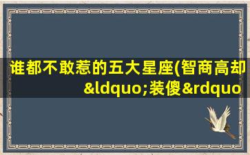 谁都不敢惹的五大星座(智商高却“装傻”的星座)