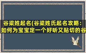 谷梁姓起名(谷梁姓氏起名攻略：如何为宝宝定一个好听又贴切的谷梁姓氏名字？)