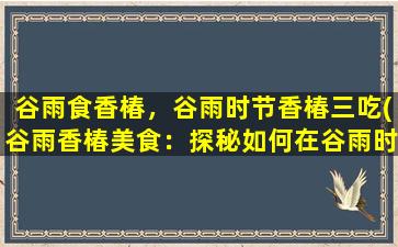 谷雨食香椿，谷雨时节香椿三吃(谷雨香椿美食：探秘如何在谷雨时节享用三道香椿佳肴)