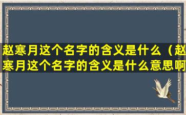 赵寒月这个名字的含义是什么（赵寒月这个名字的含义是什么意思啊）