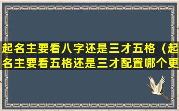 起名主要看八字还是三才五格（起名主要看五格还是三才配置哪个更重要）