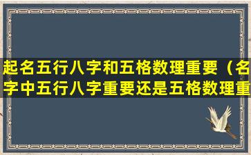 起名五行八字和五格数理重要（名字中五行八字重要还是五格数理重要）