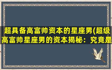 超具备高富帅资本的星座男(超级高富帅星座男的资本揭秘：究竟是什么力量让他们如此迷人？)