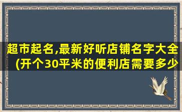 超市起名,最新好听店铺名字大全(开个30平米的便利店需要多少钱)