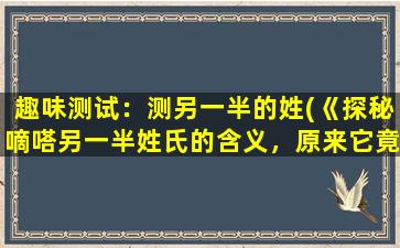 趣味测试：测另一半的姓(《探秘嘀嗒另一半姓氏的含义，原来它竟然与SEO有着紧密关系！》)