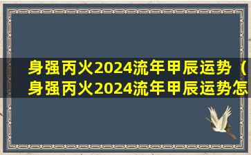 身强丙火2024流年甲辰运势（身强丙火2024流年甲辰运势怎么样）