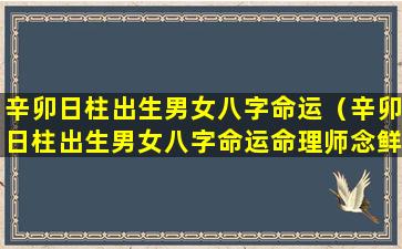 辛卯日柱出生男女八字命运（辛卯日柱出生男女八字命运命理师念鲜）