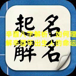 辛酉八字解析：如何理解辛酉年出生人的命运