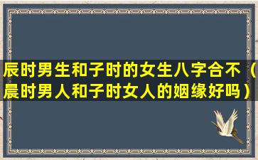 辰时男生和子时的女生八字合不（晨时男人和子时女人的姻缘好吗）