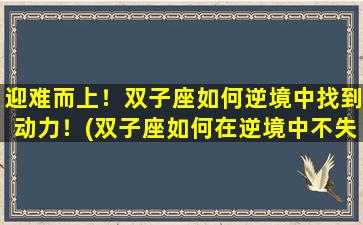 迎难而上！双子座如何逆境中找到动力！(双子座如何在逆境中不失动力，以积极的态度迎难而上？)