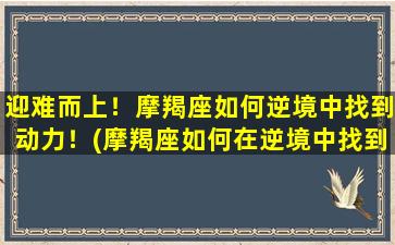 迎难而上！摩羯座如何逆境中找到动力！(摩羯座如何在逆境中找到力量：迎难而上！)