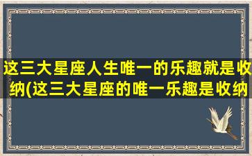 这三大星座人生唯一的乐趣就是收纳(这三大星座的唯一乐趣是收纳，你了解吗？)